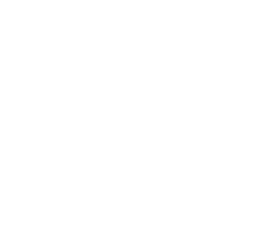premiuma protekt - ochrona lakieru samochodu