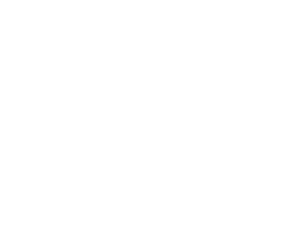 premiuma protekt - ochrona lakieru samochodu