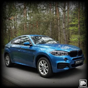 BMW X6 M-Sport 2019 [Folie Ochronne PPF] Całe Auto