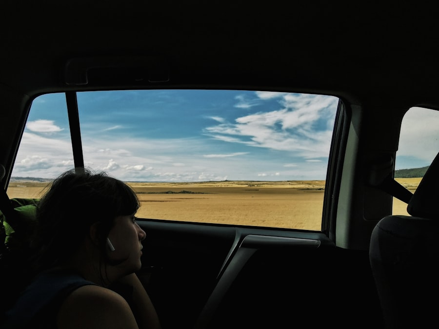 Car window